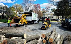 Trusted La Caada Flintridge, CA Tree Removal and Landscaping Services Experts